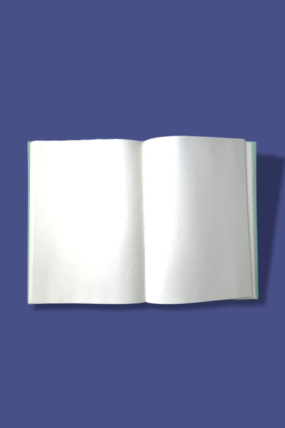 Believe In Your Dreams Lastikli Defter
