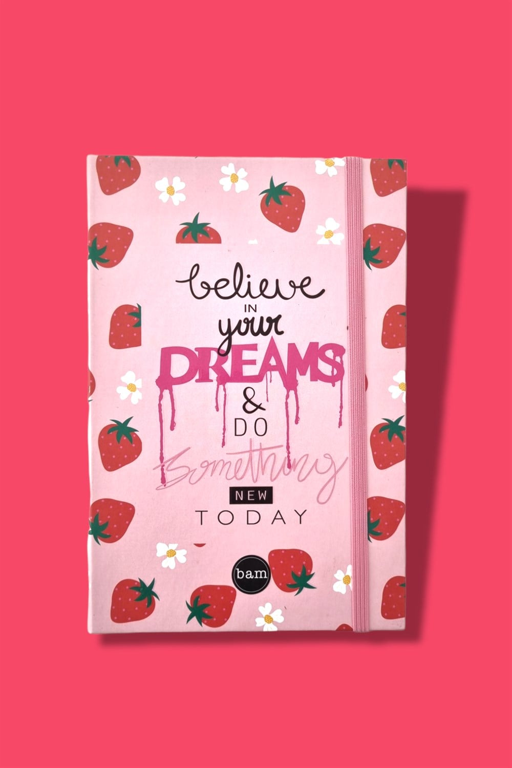 Believe In Your Dreams Lastikli Defter