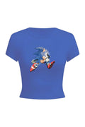 Game Sonic Tam Boy Bluz